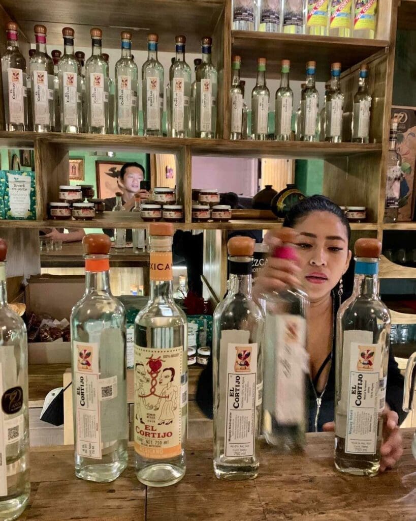 Mezcalerias in Oaxaca