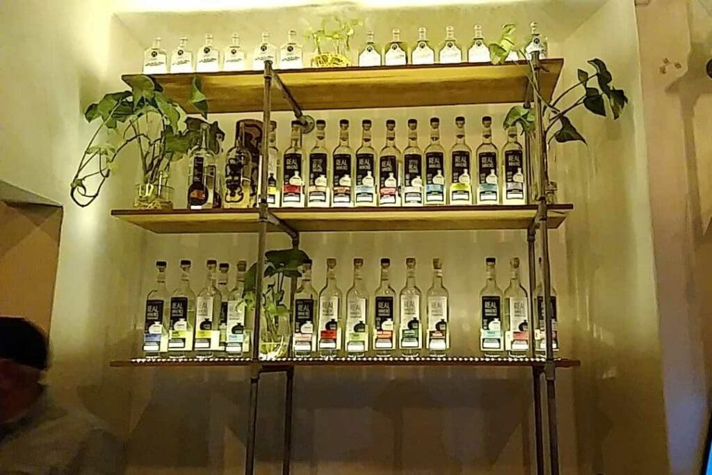 Mezcalerias in Oaxaca