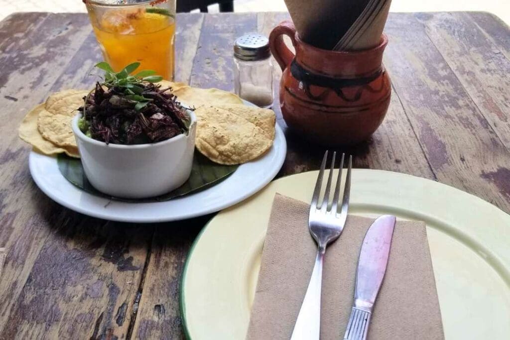 Coyoacan Restaurants