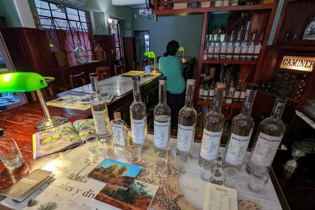 Mezcalerias in Oaxaca