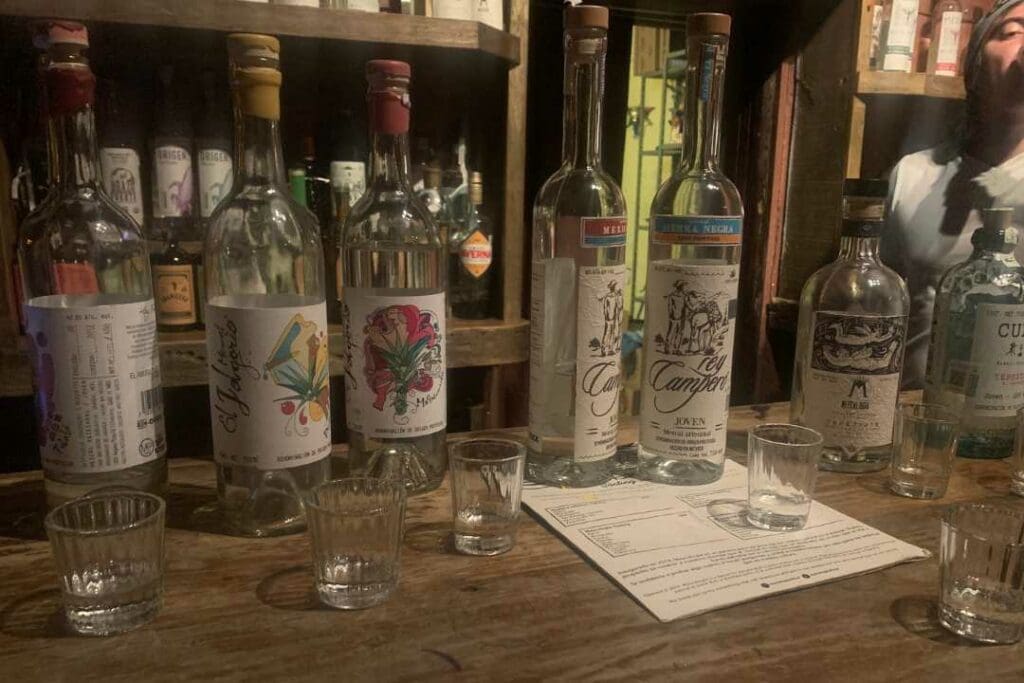 Mezcalerias in Oaxaca