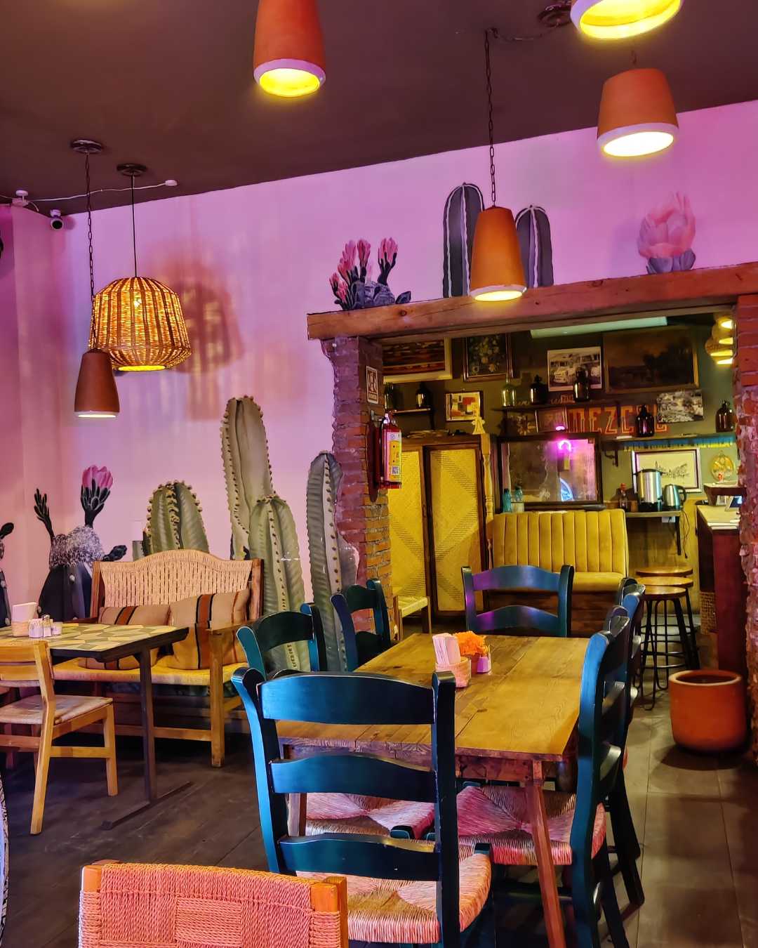 Oaxaca Nightlife