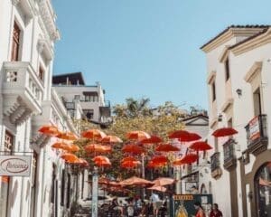 reasons to visit puerto vallarta