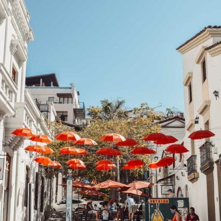 reasons to visit puerto vallarta