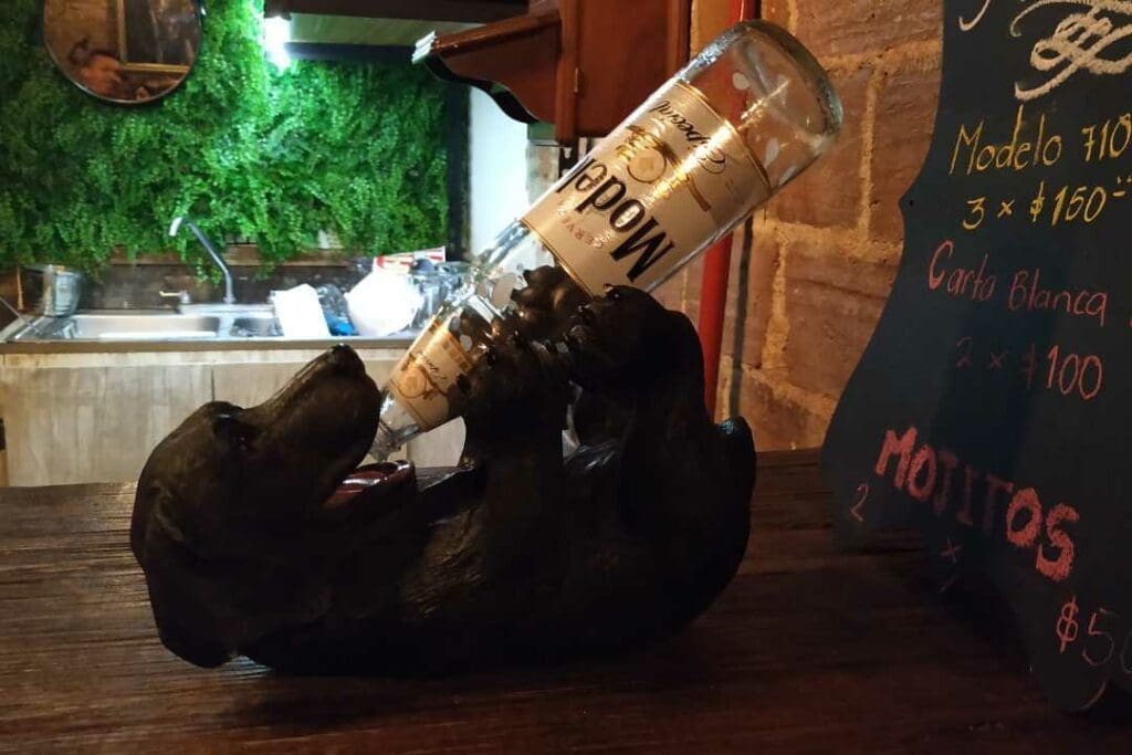 Oaxaca Nightlife