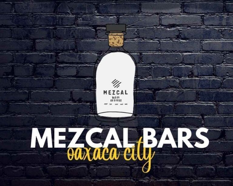 24 best mezcal bars in Oaxaca City