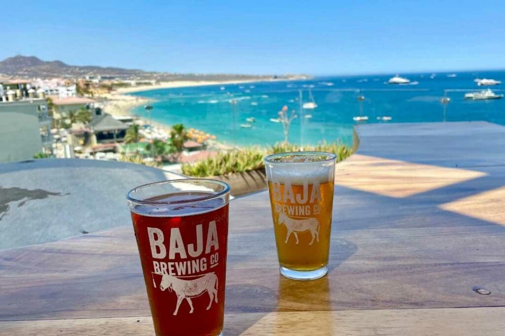 Cabo San Lucas Restaurants with a View