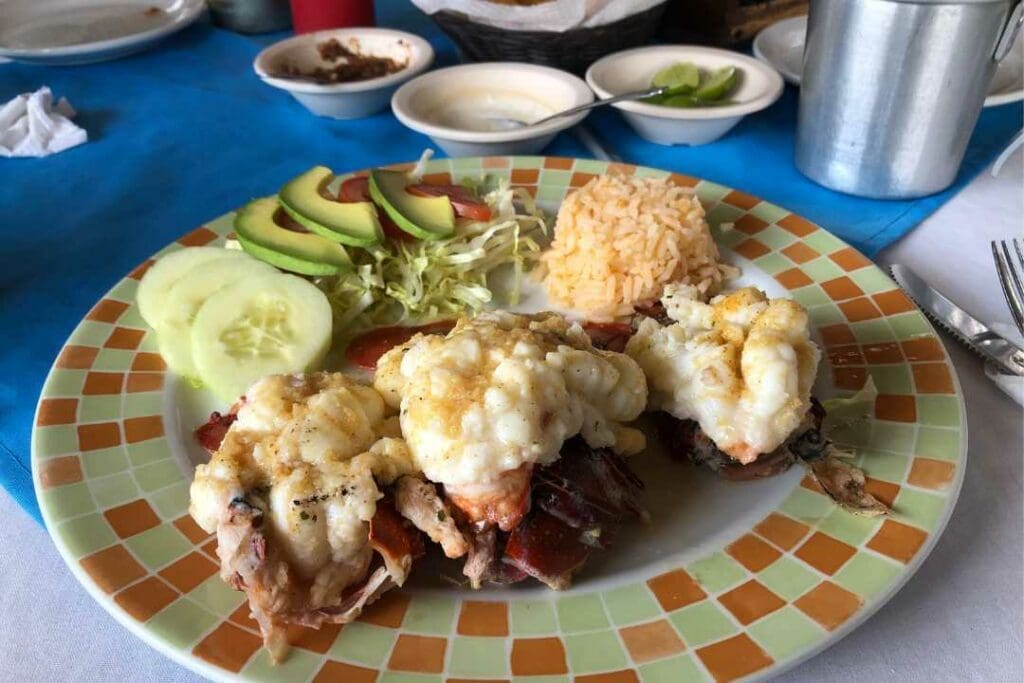 Seafood Restaurants in Cabo San Lucas