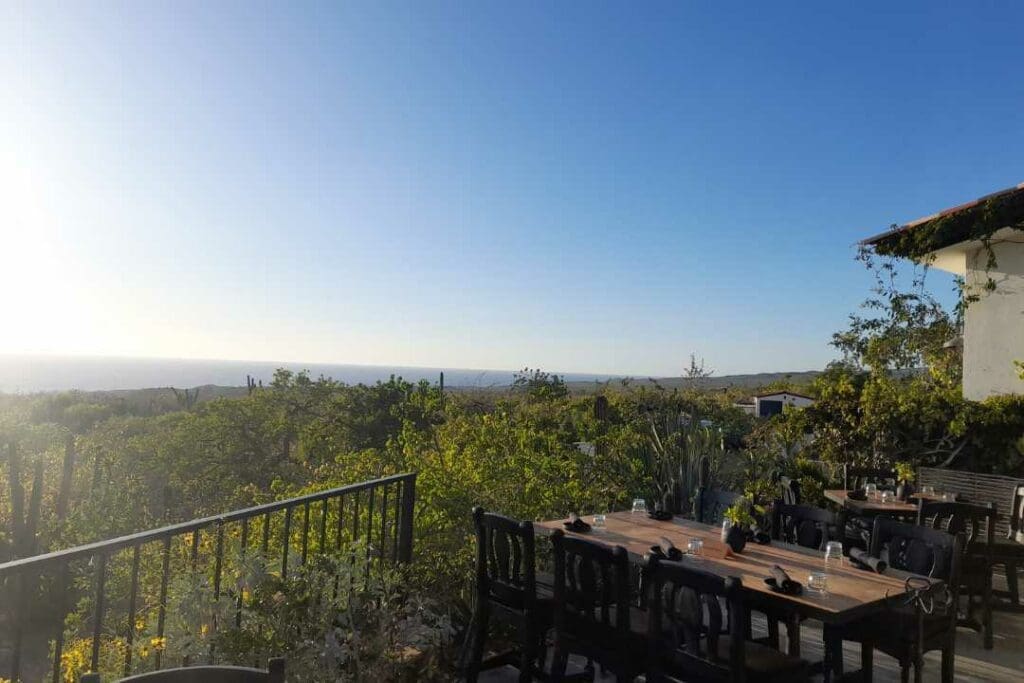 Cabo San Lucas Restaurants with a View