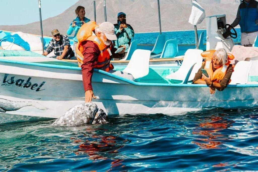 Reasons to visit Cabo San Lucas