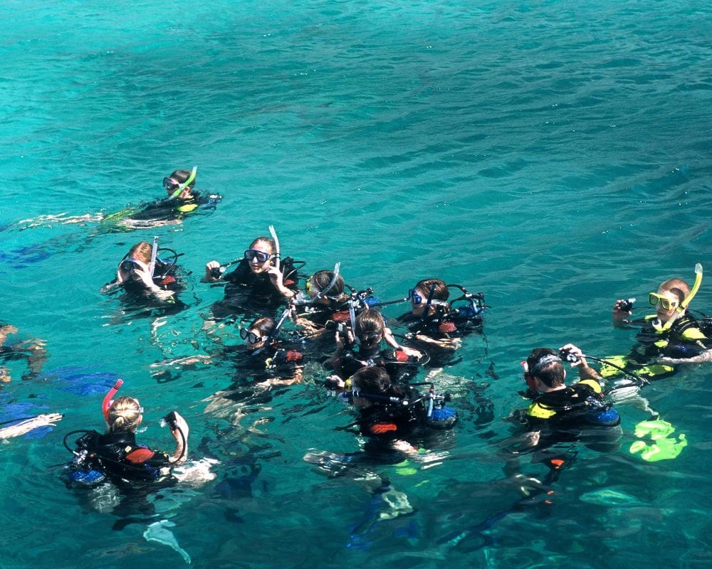 Scuba diving in Puerto Vallarta