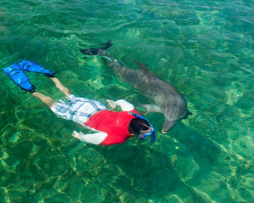 Puerto Vallarta boat tours