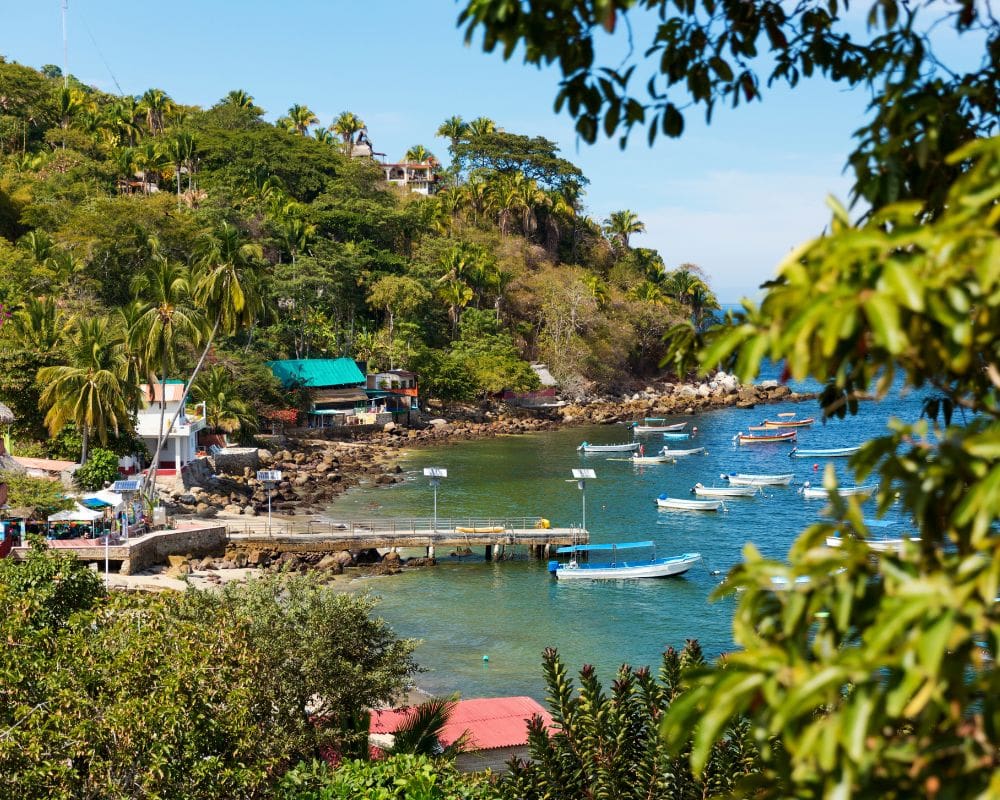 Puerto Vallarta Boat Tour