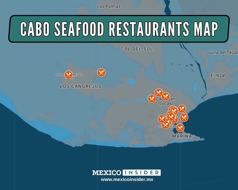 seafood restaurants in cabo san lucas