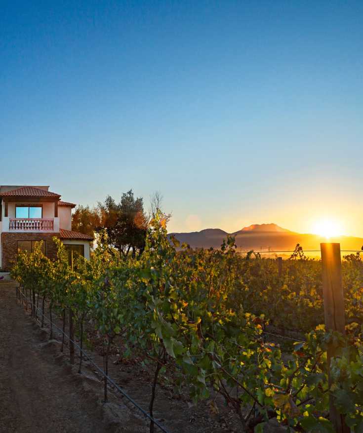 luxury resorts in valle de guadalupe