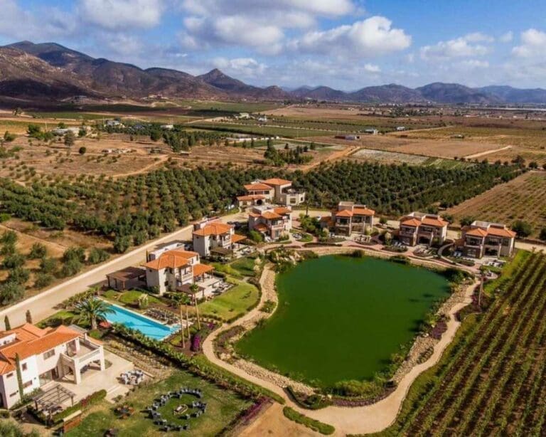 luxury resorts in valle de guadalupe