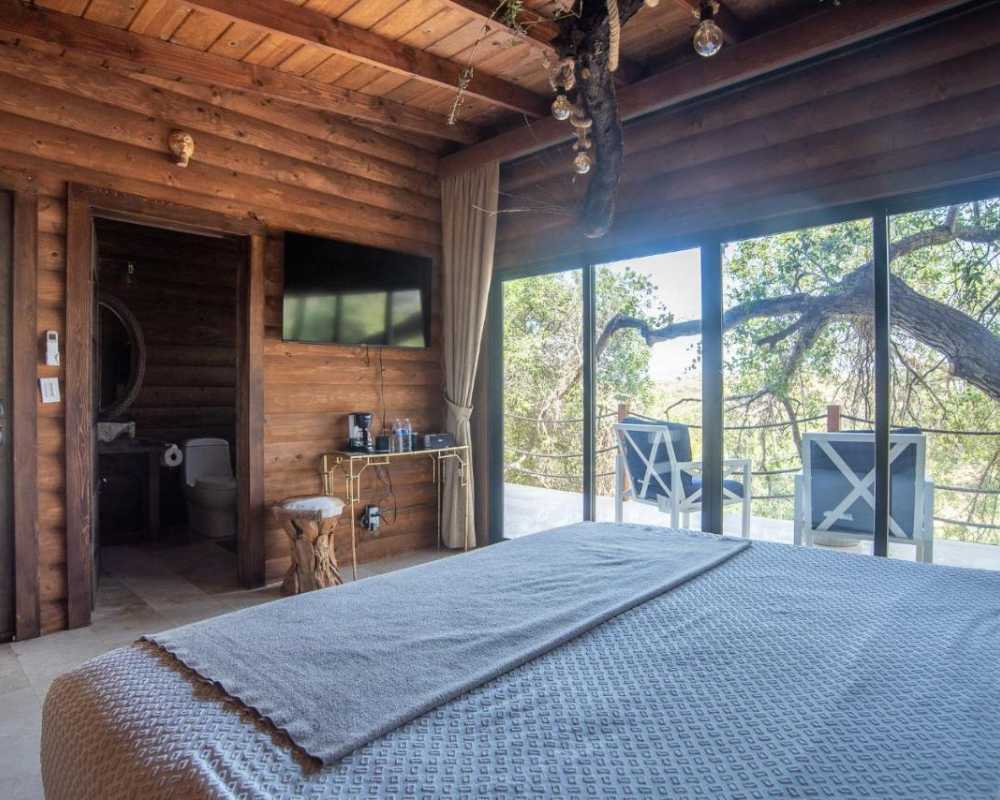 Illustration of Unique Luxury Accommodations