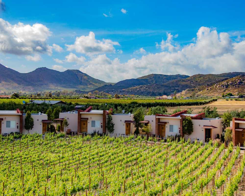 luxury hotels in valle de guadalupe