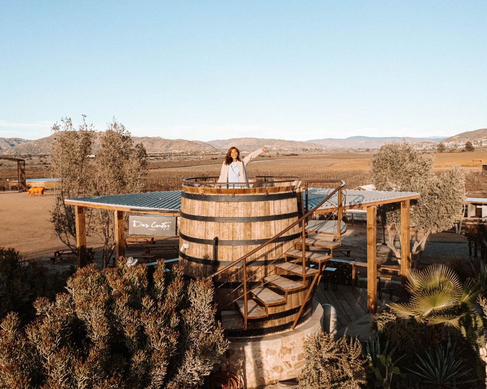 valle de guadalupe wineries