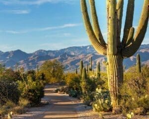 places to visit in Mexico