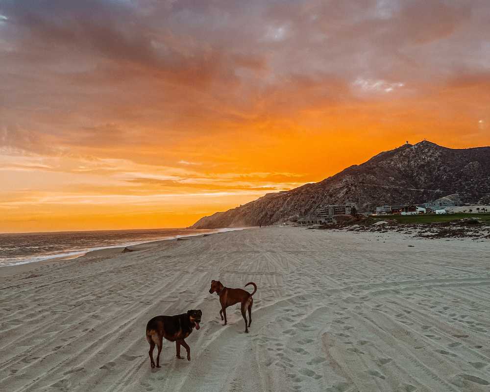 best time to visit cabo