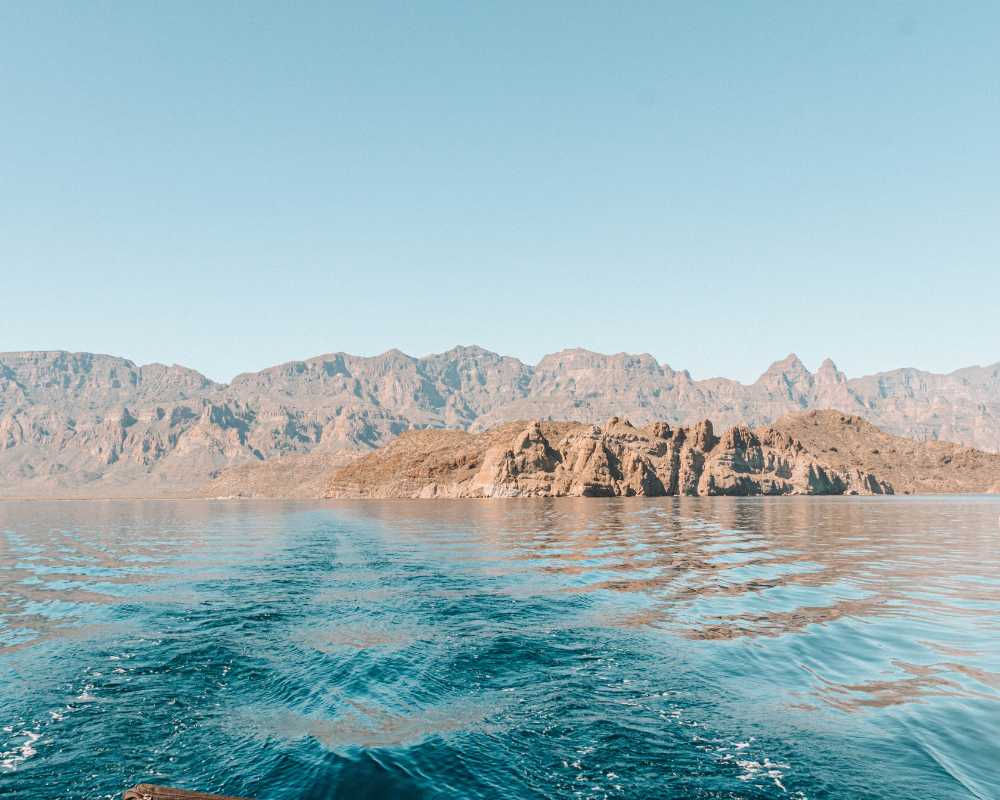 whale watching in mexico