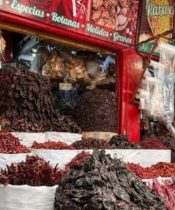 oaxaca abastos market tour