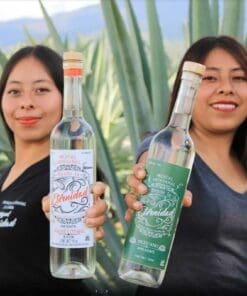 oaxaca palenque tour