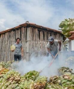 Alternative view of Mezcal Matriarchs: Discovering Oaxaca's Female-Led Palenque