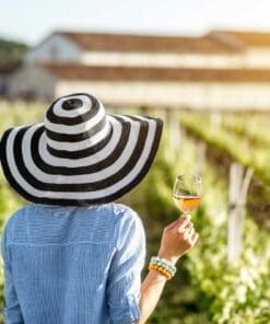 Sun, Sips, & Strolls: The Quintessential Valle de Guadalupe Vineyard Tour