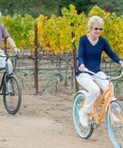 Valle de Guadalupe Vineyard Tour