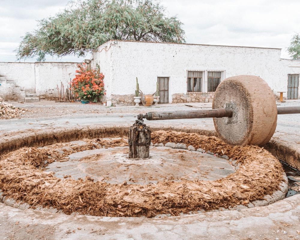 mezcal in guanajuato