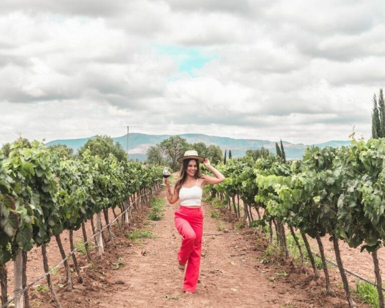Guanajuato wine: a new era of Mexican viticulture excellence