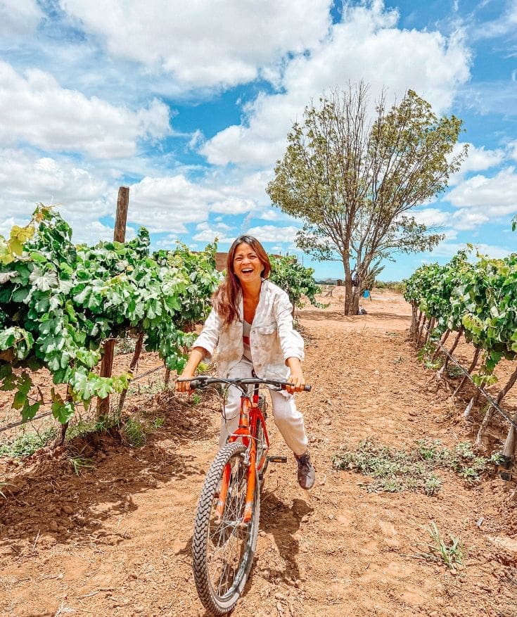 guanajuato wine