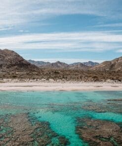cabo pulmo snorkeling