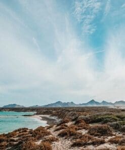 Alternative view of Cabo Pulmo Snorkeling Tour [All-Inclusive]
