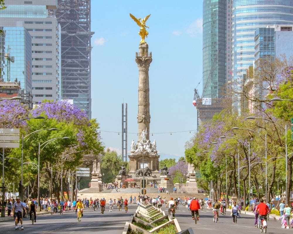 mexico city tour