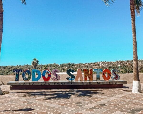 Todos Santos Day Trip Tour