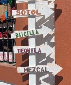 Alternative view of Todos Santos Street Food Tour