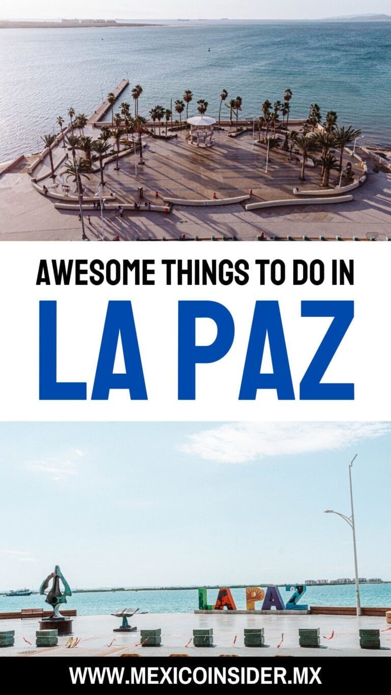 41 absolute local things to do in La Paz Mexico | Mexico Insider