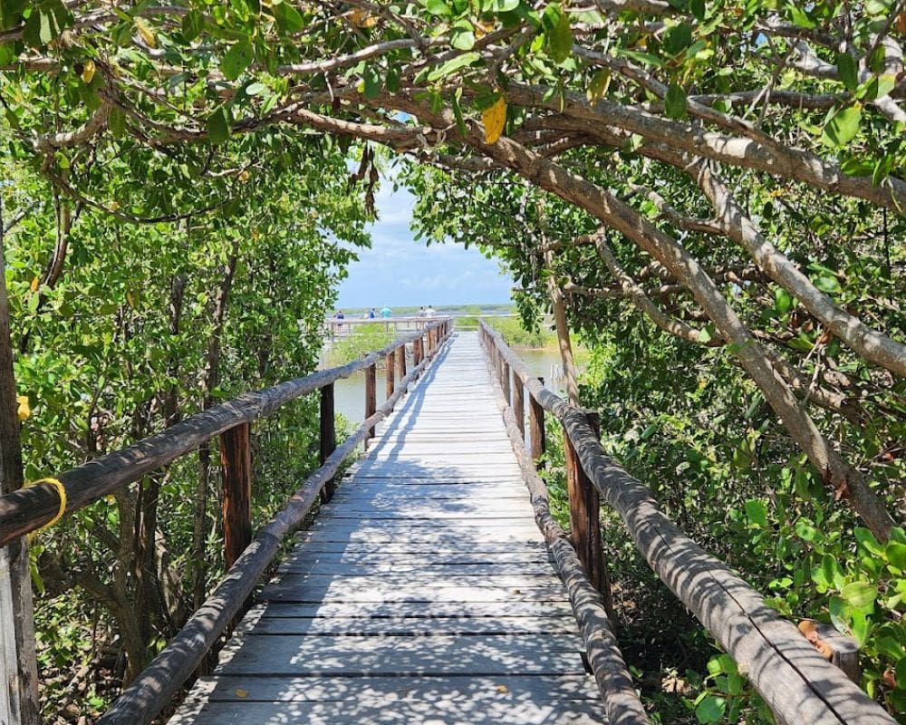 Punta Sur Eco Beach Park