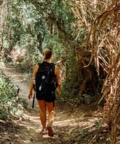 Alternative view of Monkey Mountain tour and hike with a local from Sayulita