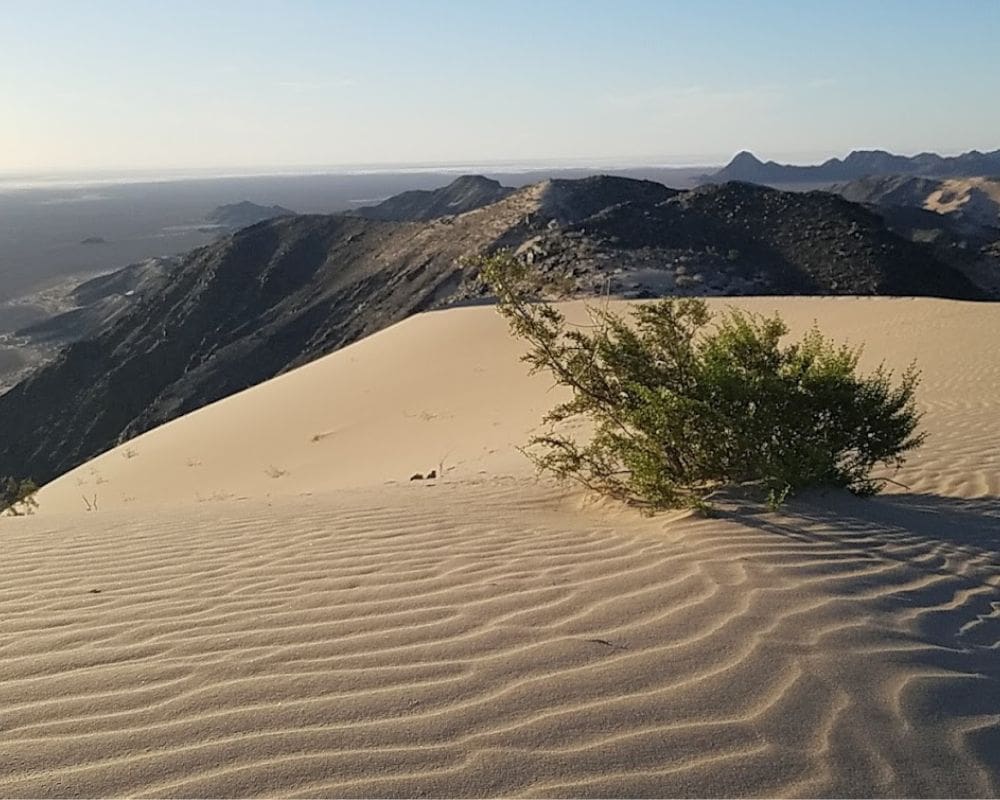 Duna Sandcali Mexicali Baja California Mexico