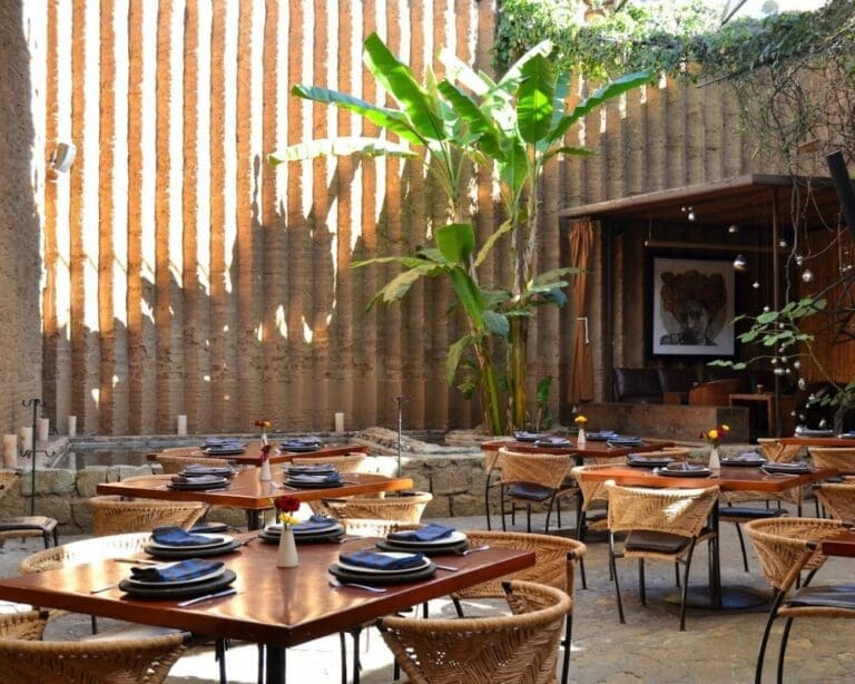Mexico Insider’s 27 essential Oaxaca restaurants