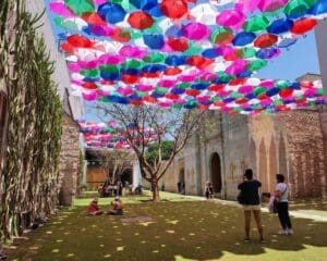 museums in oaxaca mexico