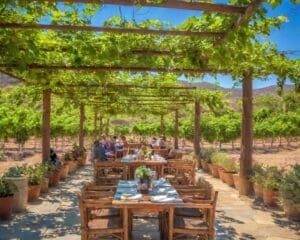 best restaurants in valle de guadalupe mexico