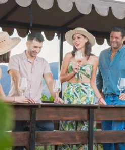 Valle de Guadalupe Tours