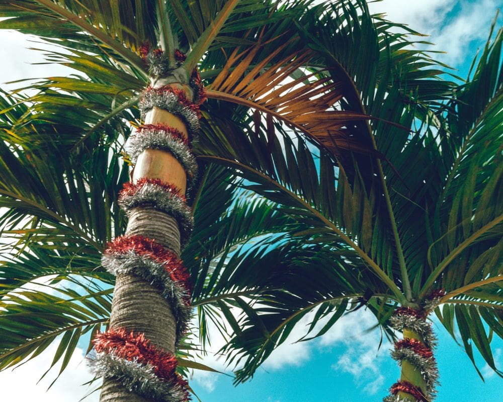 Christmas in Cancun