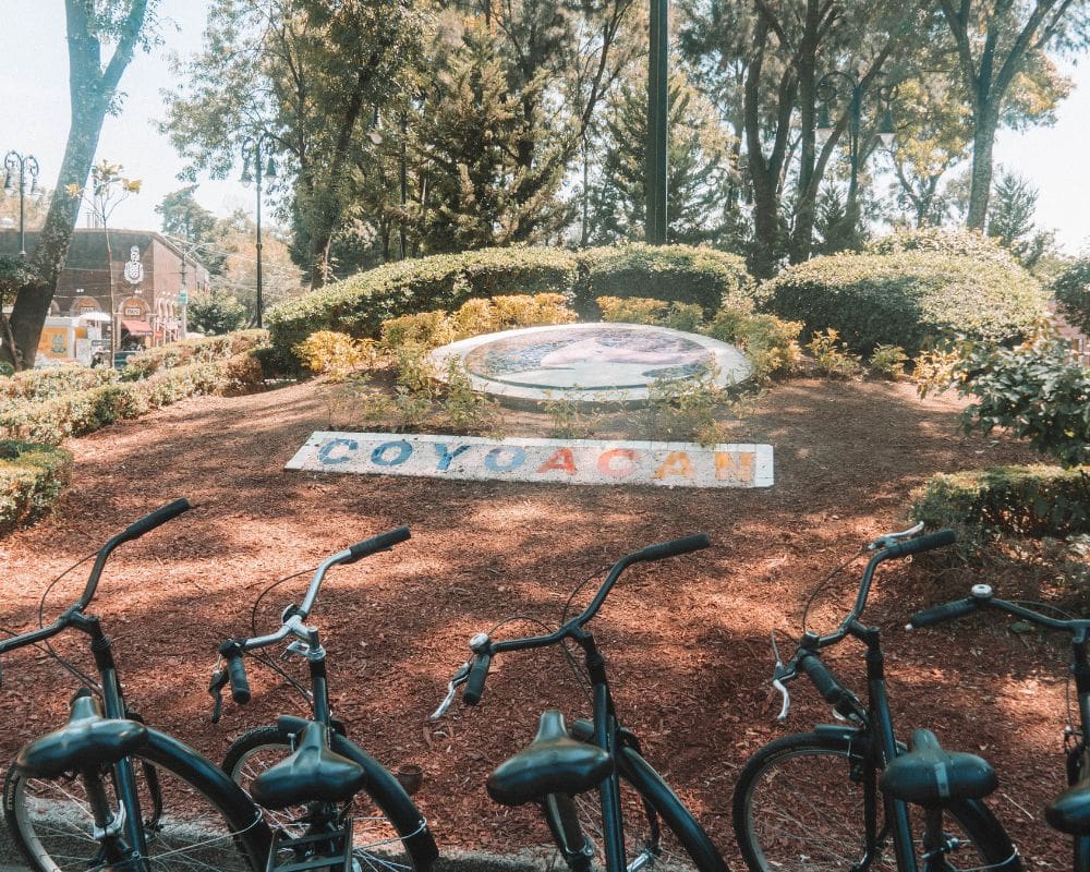 Visit Frida Kahlo Museum and Coyoacan (Tickets Included) - Image 4