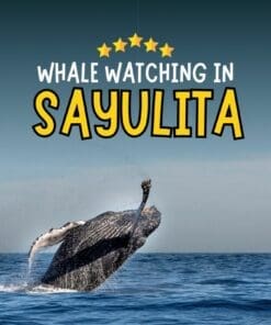 sayulita whale watching